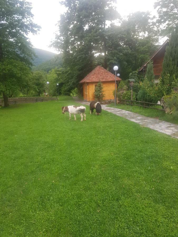 Vodopad Lisine Bed and Breakfast Strmosten Exteriör bild